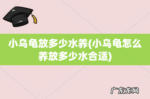 小乌龟怎么养放多少水合适 小乌龟放多少水养