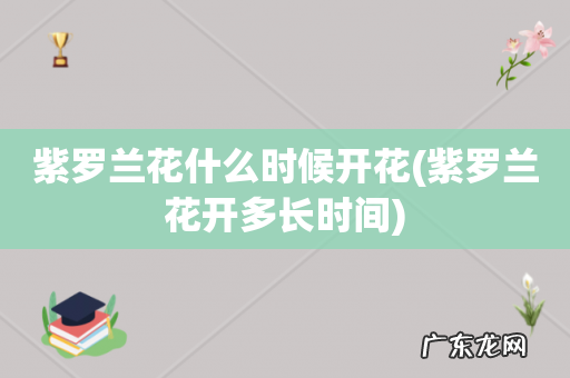 紫罗兰花开多长时间 紫罗兰花什么时候开花