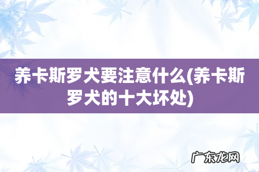 养卡斯罗犬的十大坏处 养卡斯罗犬要注意什么