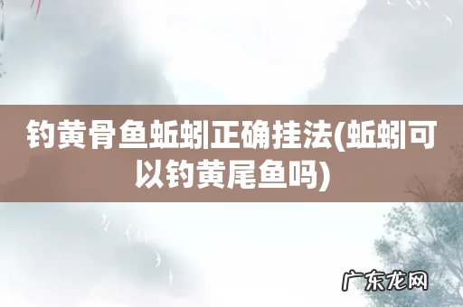 蚯蚓可以钓黄尾鱼吗 钓黄骨鱼蚯蚓正确挂法