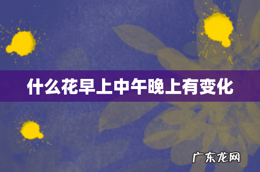 什么花早上中午晚上有变化