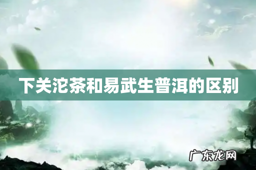 下关沱茶和易武生普洱的区别