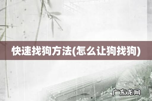 怎么让狗找狗 快速找狗方法