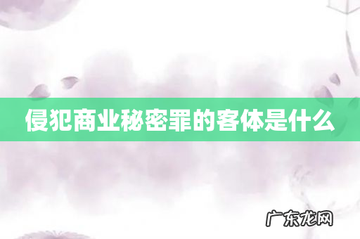 侵犯商业秘密罪的客体是什么