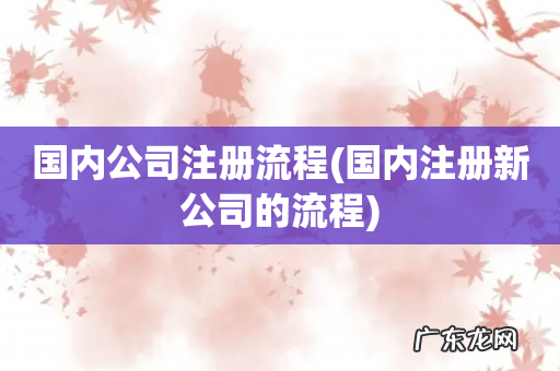 国内注册新公司的流程 国内公司注册流程