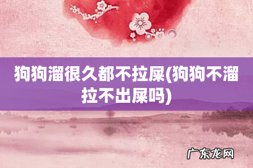 狗狗不溜拉不出屎吗 狗狗溜很久都不拉屎