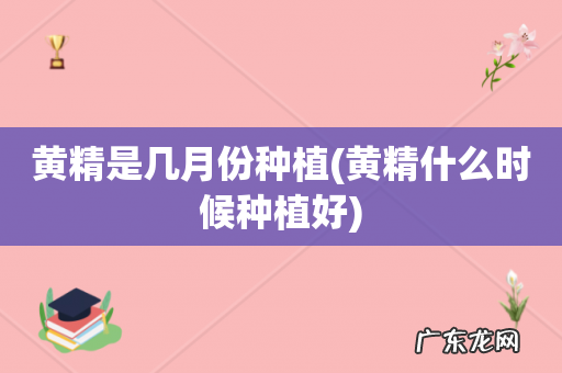 黄精什么时候种植好 黄精是几月份种植