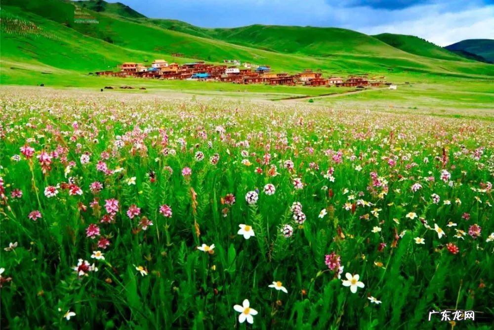 七月份自驾游适合去哪里旅游 7月份适合去哪里旅游?