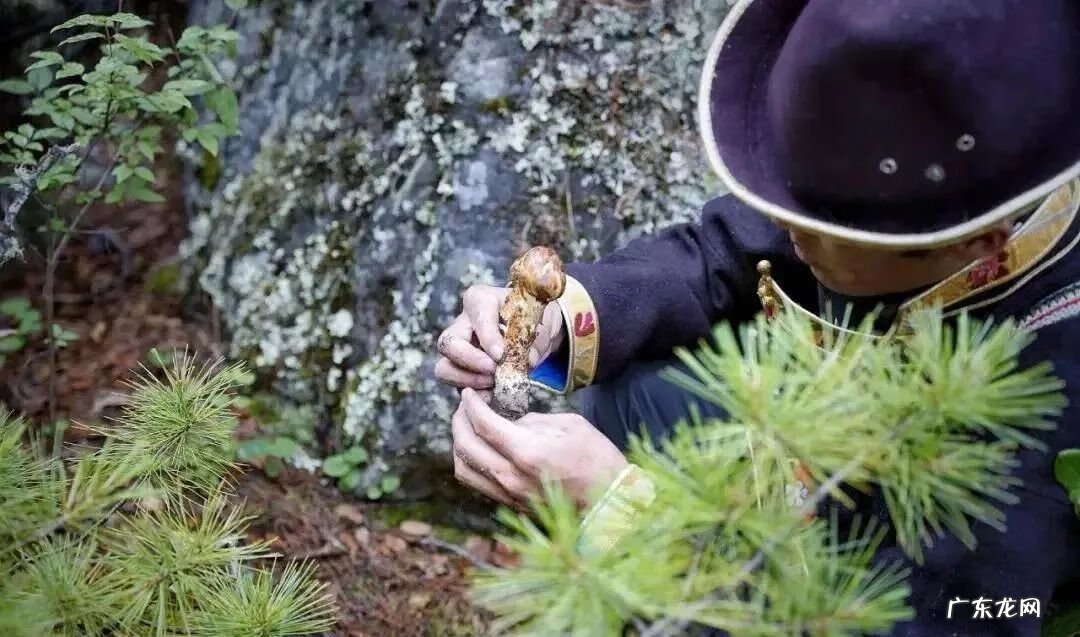 七月份自驾游适合去哪里旅游 7月份适合去哪里旅游?