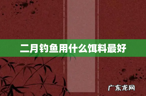 二月钓鱼用什么饵料最好