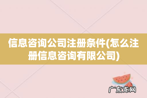 怎么注册信息咨询有限公司 信息咨询公司注册条件