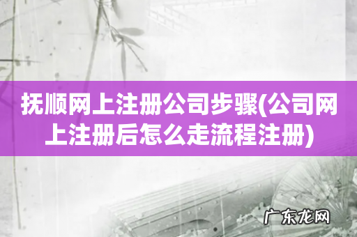公司网上注册后怎么走流程注册 抚顺网上注册公司步骤