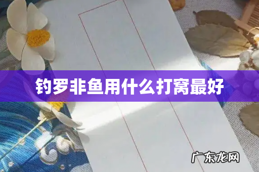 钓罗非鱼用什么打窝最好