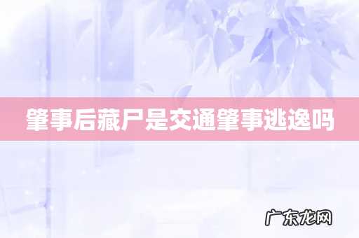 肇事后藏尸是交通肇事逃逸吗