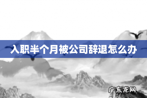 入职半个月被公司辞退怎么办