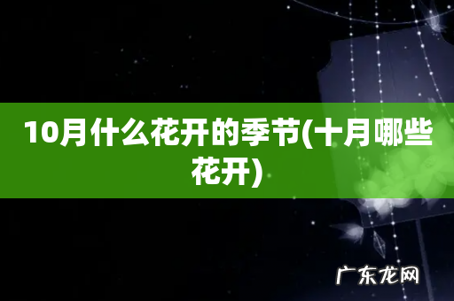 十月哪些花开 10月什么花开的季节