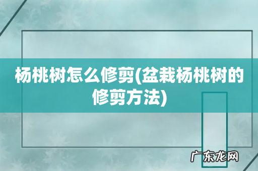 盆栽杨桃树的修剪方法 杨桃树怎么修剪