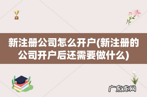 新注册的公司开户后还需要做什么 新注册公司怎么开户
