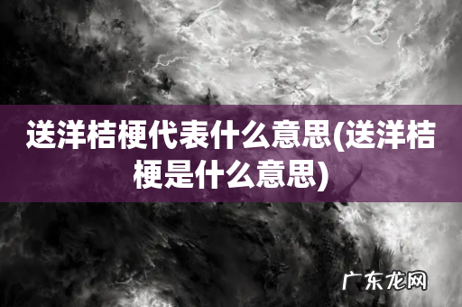 送洋桔梗是什么意思 送洋桔梗代表什么意思