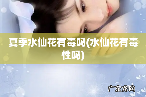 水仙花有毒性吗 夏季水仙花有毒吗