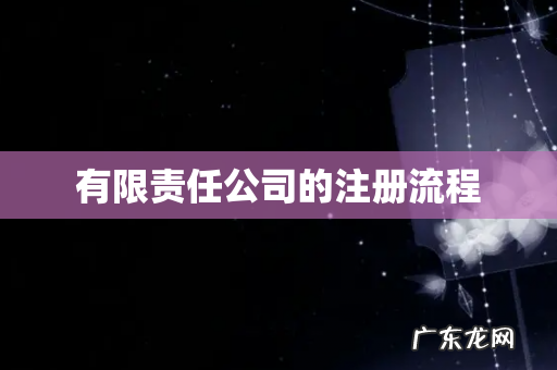 有限责任公司的注册流程