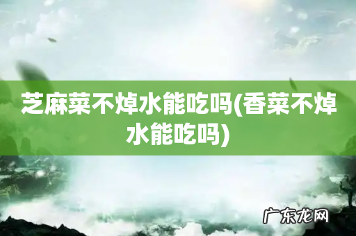 香菜不焯水能吃吗 芝麻菜不焯水能吃吗