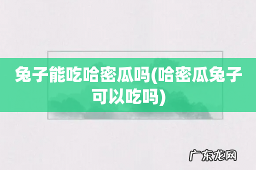 哈密瓜兔子可以吃吗 兔子能吃哈密瓜吗