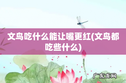 文鸟都吃些什么 文鸟吃什么能让嘴更红