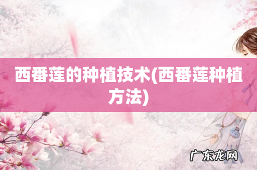 西番莲种植方法 西番莲的种植技术