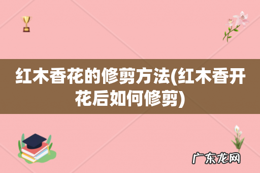 红木香开花后如何修剪 红木香花的修剪方法