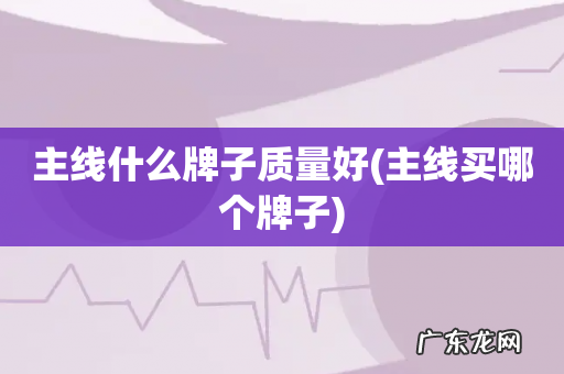 主线买哪个牌子 主线什么牌子质量好