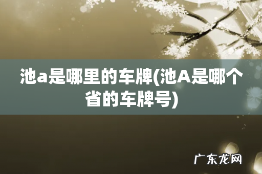池A是哪个省的车牌号 池a是哪里的车牌