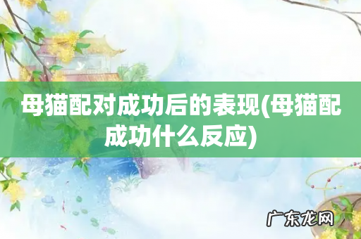 母猫配成功什么反应 母猫配对成功后的表现