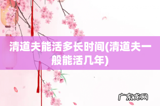 清道夫一般能活几年 清道夫能活多长时间
