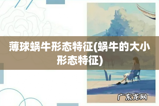 蜗牛的大小形态特征 薄球蜗牛形态特征