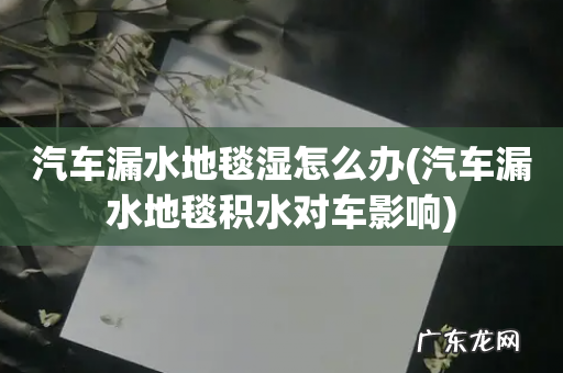 汽车漏水地毯积水对车影响 汽车漏水地毯湿怎么办