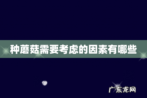 种蘑菇需要考虑的因素有哪些