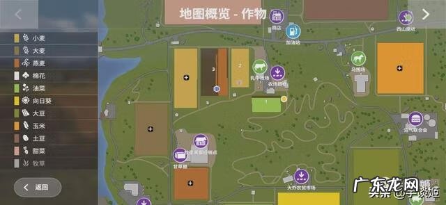 赛车姬 车姬是什么意思