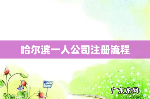 哈尔滨一人公司注册流程