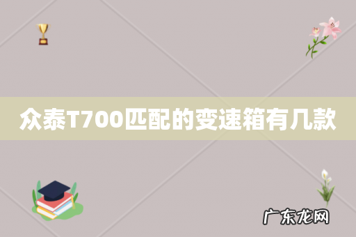 众泰T700匹配的变速箱有几款