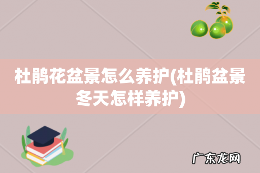 杜鹃盆景冬天怎样养护 杜鹃花盆景怎么养护