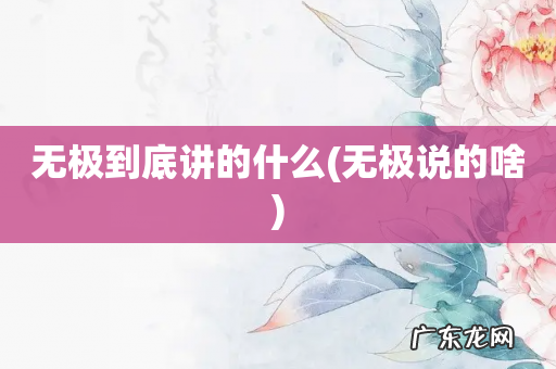 无极说的啥 无极到底讲的什么