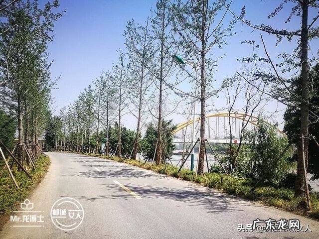 高邮市科技局 高邮风水大师