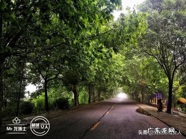 高邮市科技局 高邮风水大师