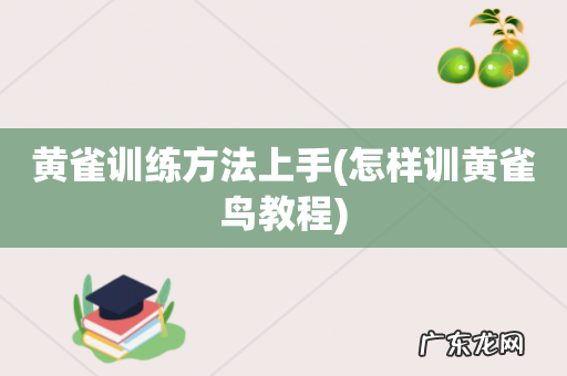 怎样训黄雀鸟教程 黄雀训练方法上手