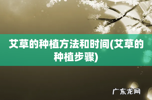 艾草的种植步骤 艾草的种植方法和时间
