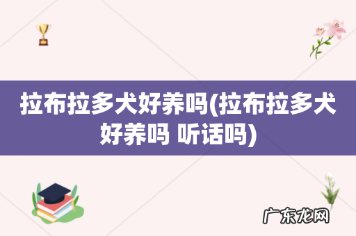 拉布拉多犬好养吗 听话吗 拉布拉多犬好养吗