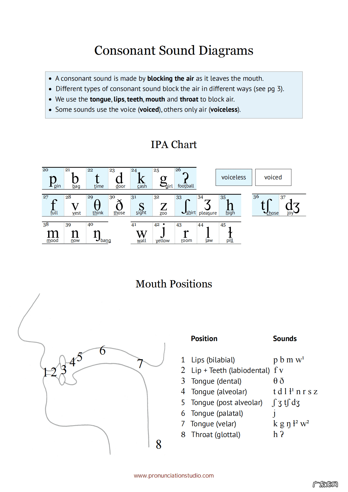 英语音标发音口型图解 英语音标发音口型图