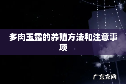 多肉玉露的养殖方法和注意事项