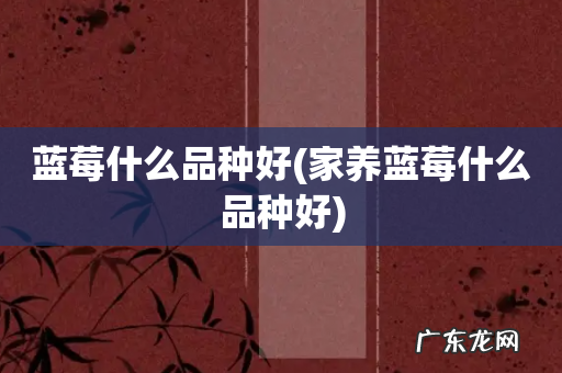 家养蓝莓什么品种好 蓝莓什么品种好